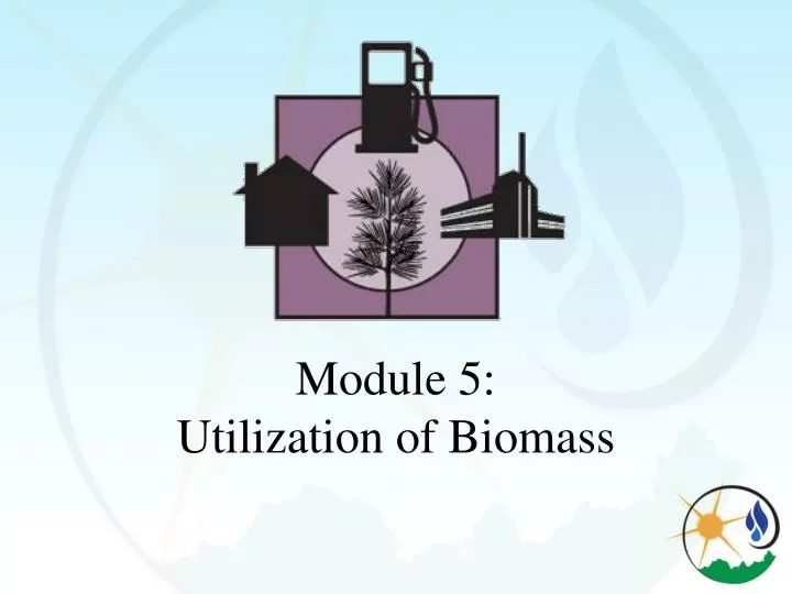 module 5 utilization of biomass