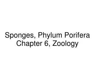 Sponges, Phylum Porifera Chapter 6, Zoology