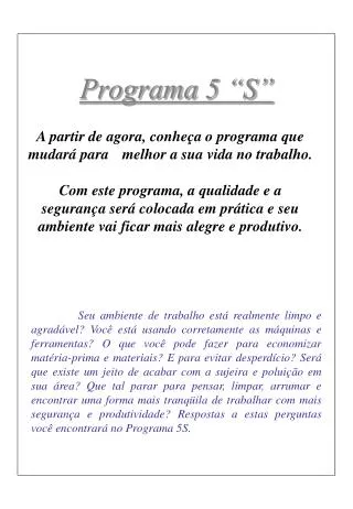 programa 5 s