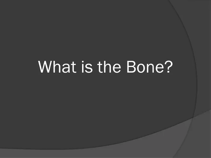 what is the bone