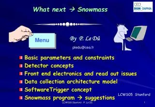 What next ? Snowmass