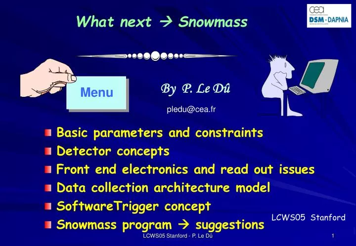 what next snowmass