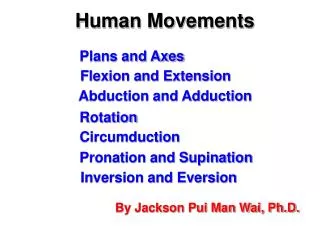 Human Movements