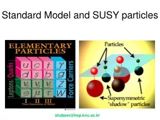 Standard Model and SUSY particles