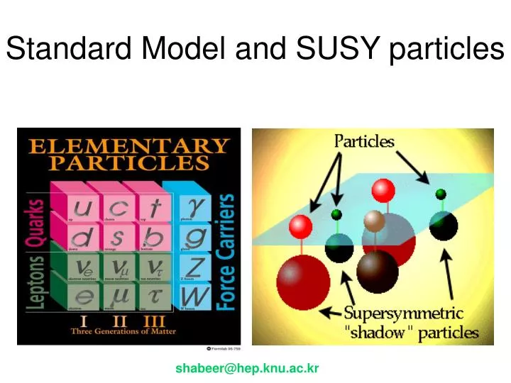 standard model and susy particles