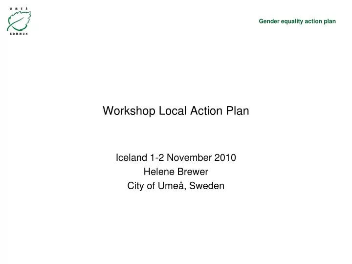 workshop local action plan