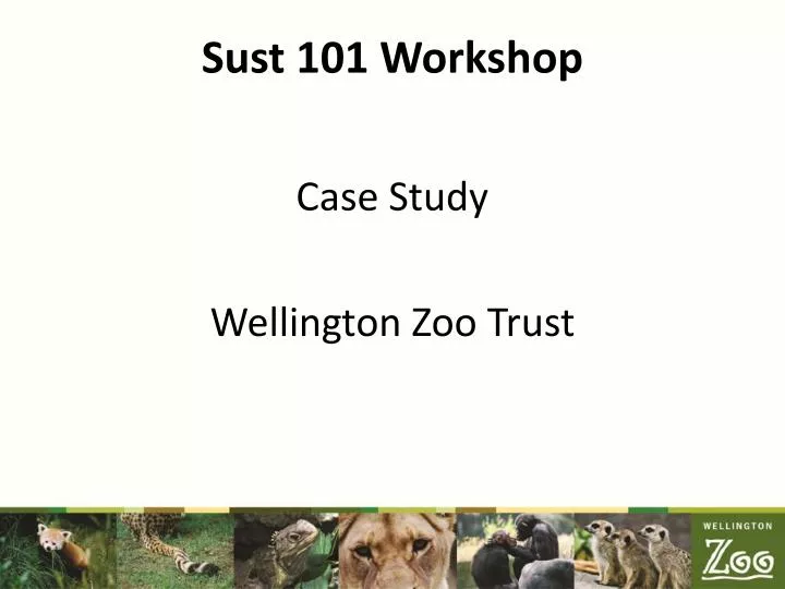sust 101 workshop