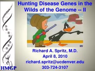 Hunting Disease Genes in the Wilds of the Genome -- II