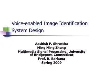 Voice-enabled Image Identification System Design