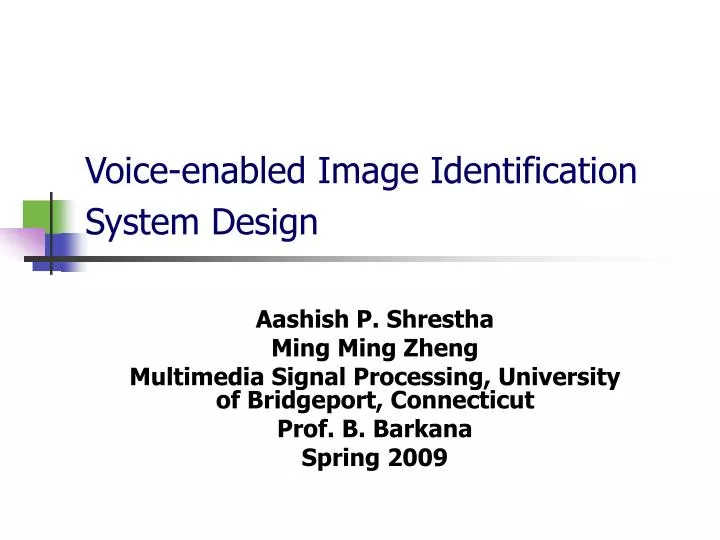 voice enabled image identification system design