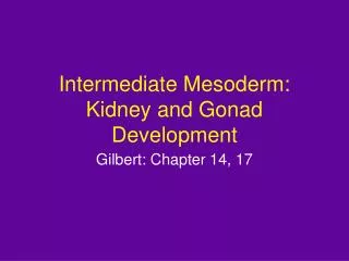 Intermediate Mesoderm: Kidney and Gonad Development