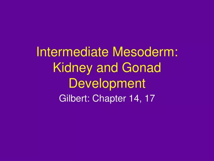 intermediate mesoderm kidney and gonad development
