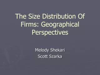 The Size Distribution Of Firms: Geographical Perspectives