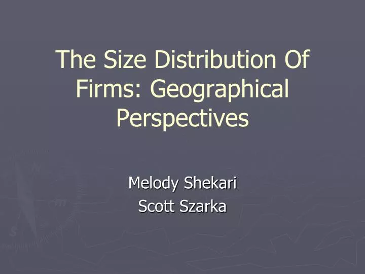 the size distribution of firms geographical perspectives