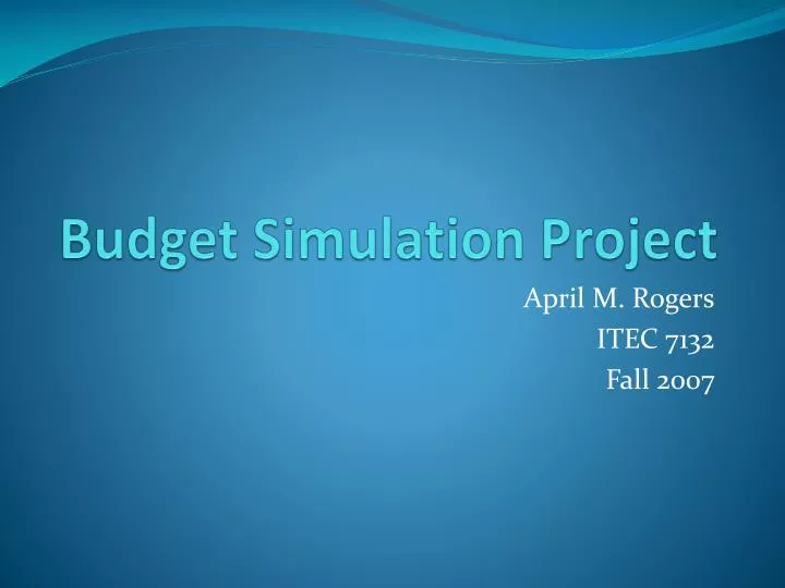 budget simulation project