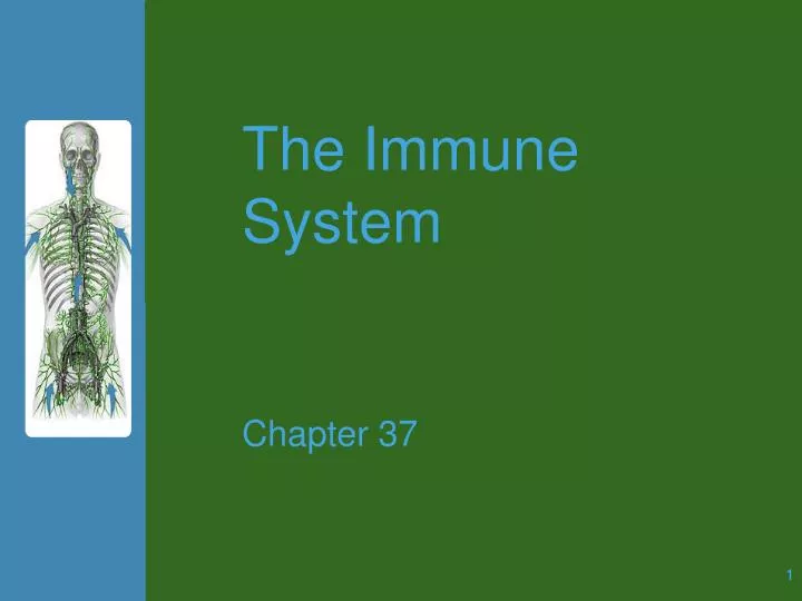 the immune system