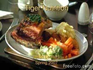 Tiger Nutrition