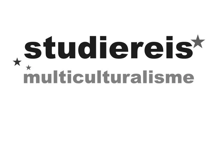 studiereis multiculturalisme