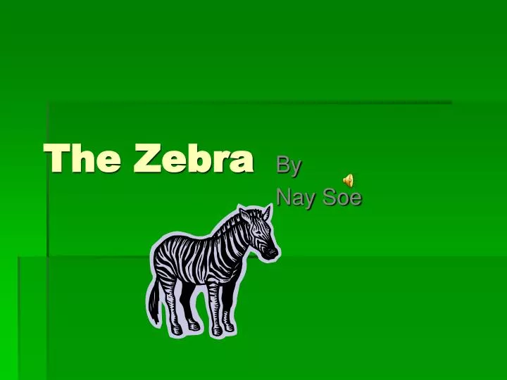 the zebra
