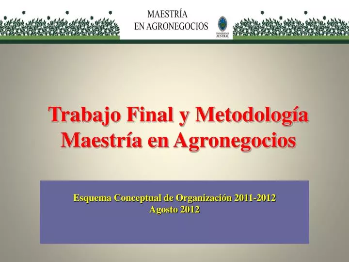 trabajo final y metodolog a maestr a en agronegocios