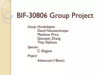 BIF-30806 Group Project