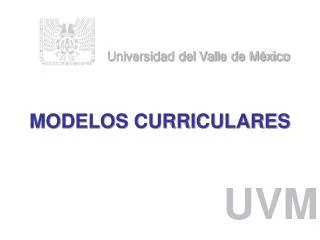 modelos curriculares