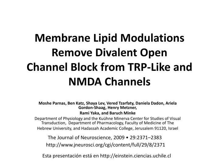 membrane lipid modulations remove divalent open channel block from trp like and nmda channels