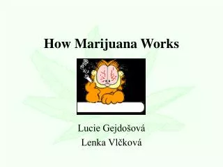 How Marijuana Works