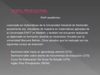 perfil profesional