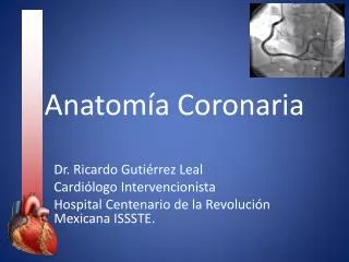anatom a coronaria