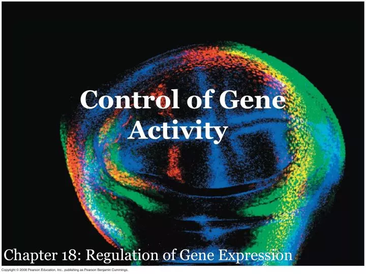 control of gene activity