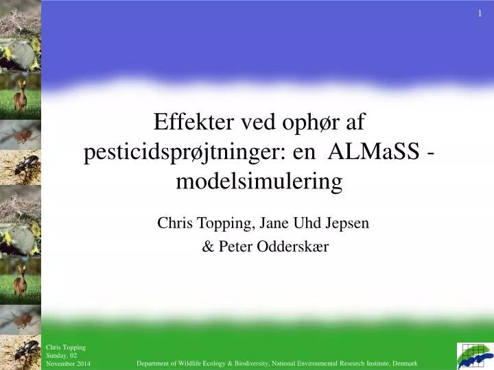 effekter ved oph r af pesticidspr jtninger en almass modelsimulering