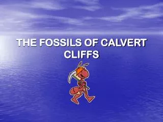 THE FOSSILS OF CALVERT CLIFFS