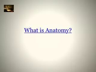 What is Anatomy?