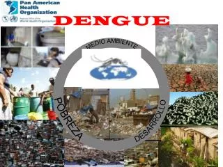 dengue