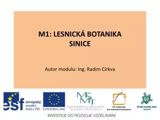 m1 lesnick botanika sinice