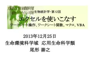 12 vba
