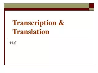 Transcription &amp; Translation