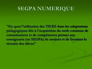 segpa numerique