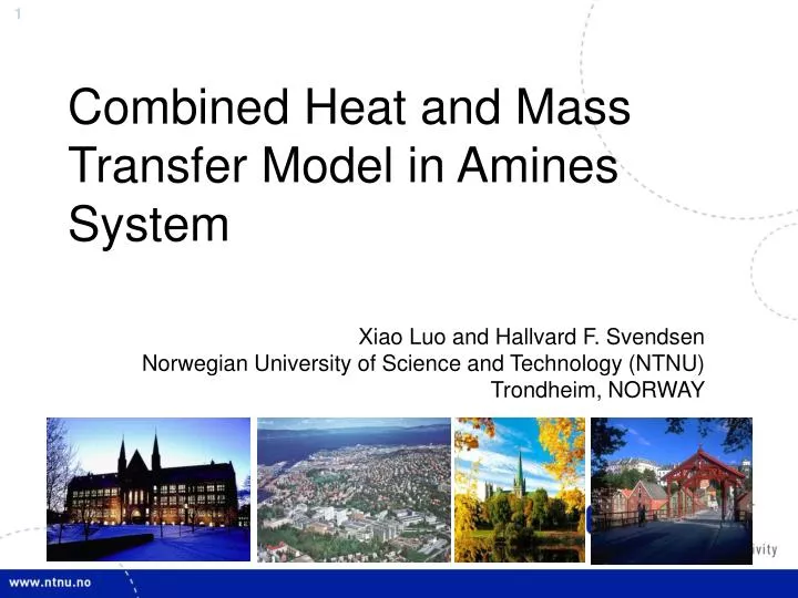 combined heat and mass transfer model in amines system