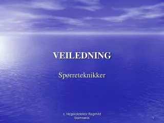 veiledning