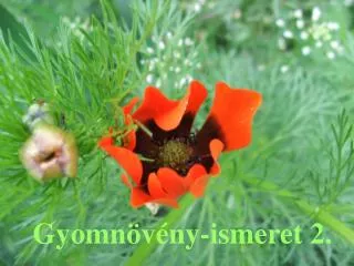 gyomn v ny ismeret 2
