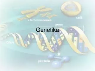 genetika