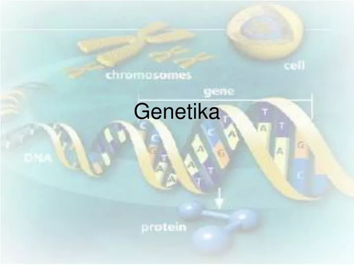 genetika