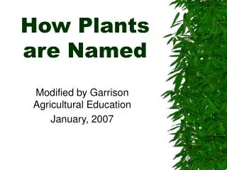 How Plants are Named