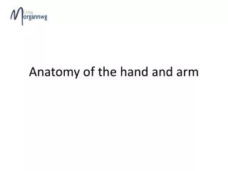 Anatomy of the hand and arm