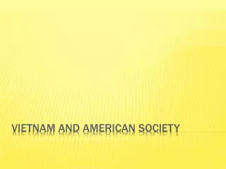 Vietnam and American Society