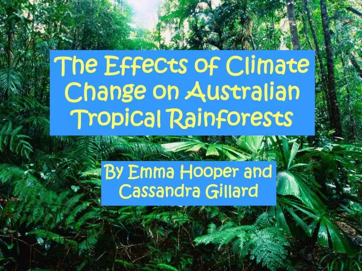 the effects of climate change on australian tropical rainforests