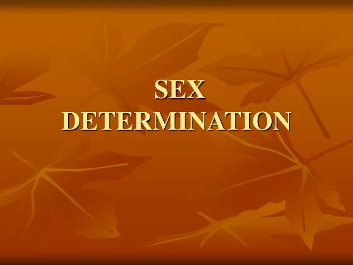 Ppt Sex Determination Powerpoint Presentation Free Download Id 6130055