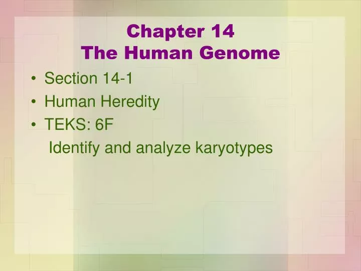 chapter 14 the human genome